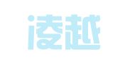 杭州凌越财务咨询有限公司