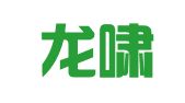 重庆龙啸财务会计咨询有限公司
