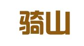 重庆骑山财务咨询有限公司