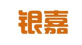安徽银嘉财务咨询有限责任公司