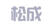 宁波松成会计服务有限公司