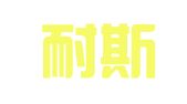 福州耐斯财务管理有限公司