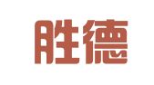 巢湖胜德财务管理有限公司