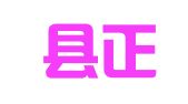 广平县正则会计服务有限公司