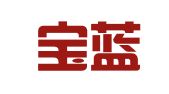 临沂宝蓝财务筹划和指导有限公司