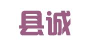 枣强县诚信会计咨询服务有限公司
