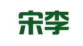 青岛宋李到家财务筹划和指导有限公司