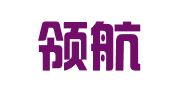 宁波领航会计服务有限公司