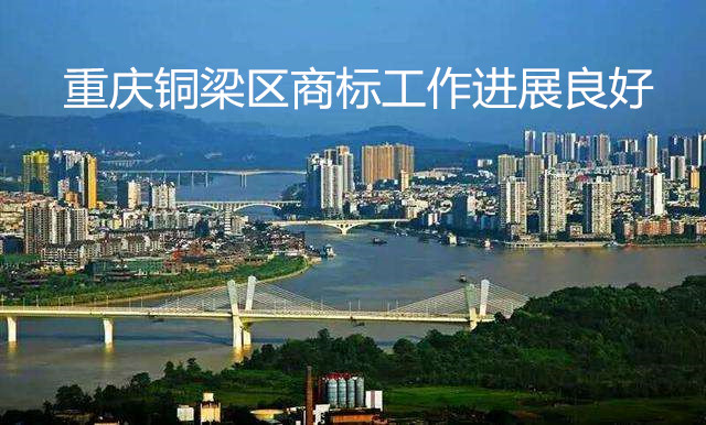 重庆铜梁区商标工作进展顺利