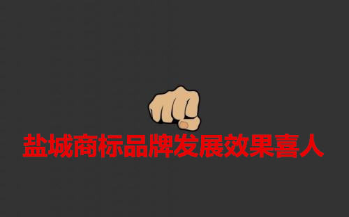 江苏盐城商标注册 盐城商标品牌发展