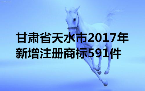 甘肃天水2017年新增注册商标近600件